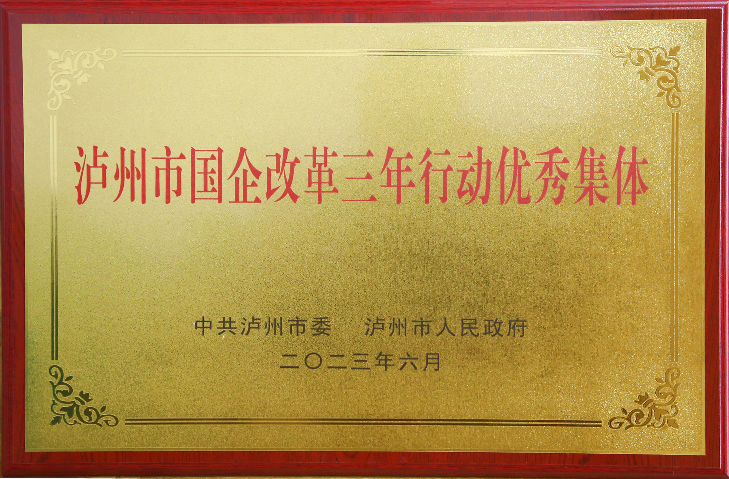 瀘州市國企改革三年行動優秀集體