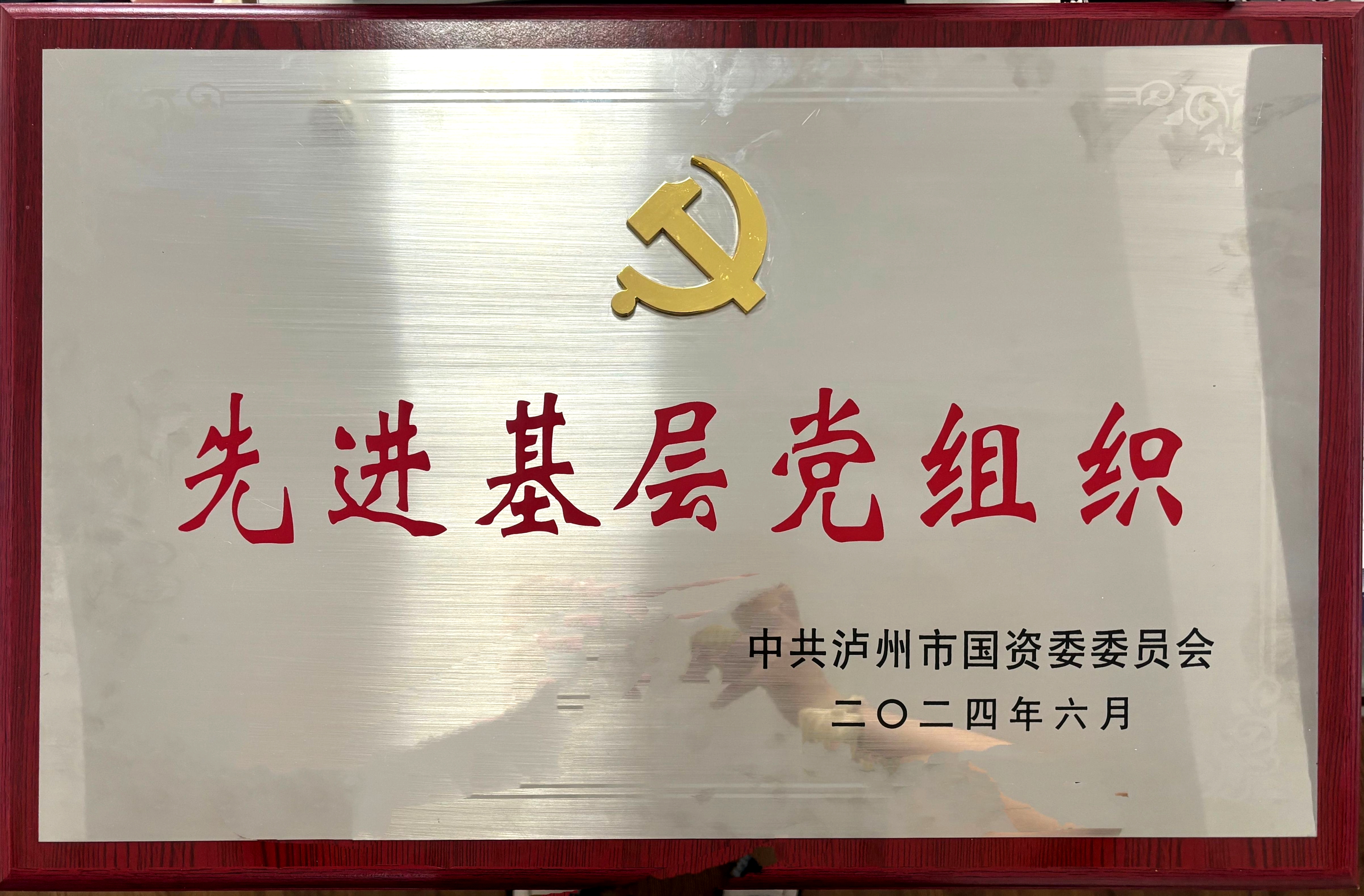 喜報！醫(yī)療投資公司黨支部獲評市國資系統(tǒng)先進基層黨組織